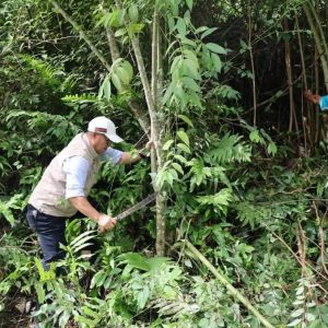 Sungai Penuh Bersih: Sukses di Lapangan Merdeka, Wako Alfin Garap Terminal Kumun dan Stadion KONI