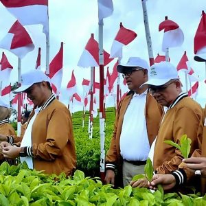 Wawako Teh Kayu Aro Berperan Penting Dalam Mendukung Pembangunan Daerah