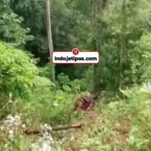 Hilang Kendali, Truk BBM Masuk Jurang di Jalan Sungai Penuh-Tapan