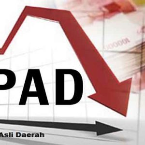 Realisasi PAD Sektor Retribusi Pedagang Kota Sungai Penuh 2025 Tidak Mencapai Target