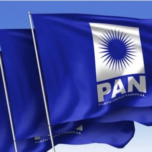 Ahmadi Kandidat Kuat Ketua PAN. Sumber: Kader Internal Juga Menjadi Pertimbangan