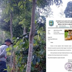 BBTNKS: Tidak Ditemukan Jejak Harimau Seperti yang Dilaporkan Masyarakat