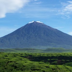PGA: Gunung Kerinci Aman, Aktivitas Didominasi Gempa Permukaan